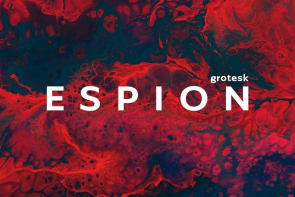 Boost Your Campaign with Espion Grotesk