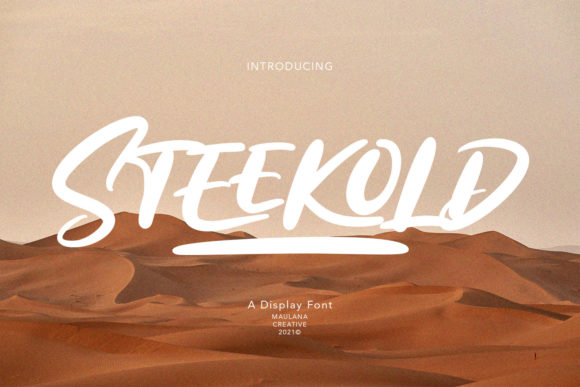 How Steekold Transformed My Brand's Visual Identity