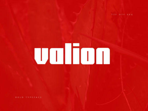 How Valion Transformed My Brand’s Visual Identity