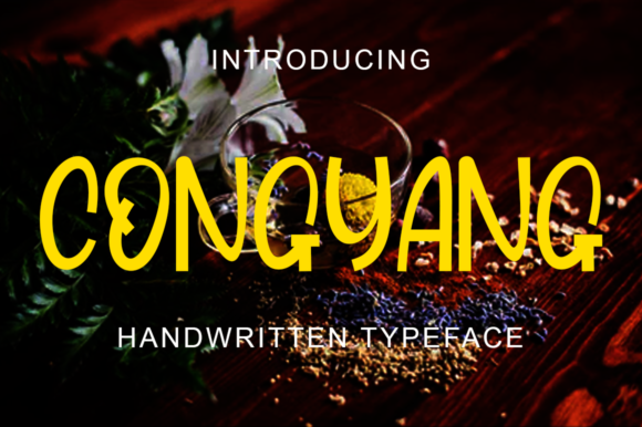 Testing Congyang: A Whimsical Display Font for Web Projects